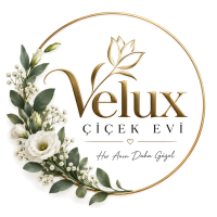 Velux Çiçek Evi
